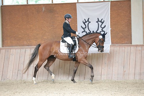 Stutenleistung0205