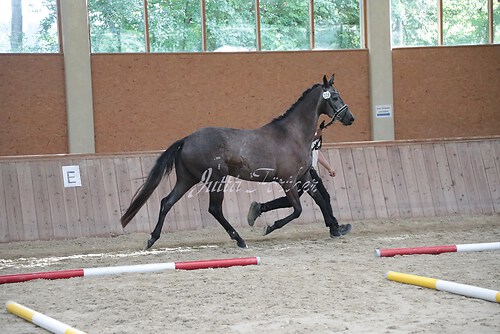 Siegerehrung 11