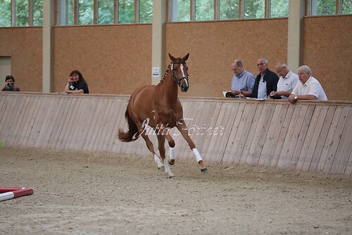 Freispringen 473
