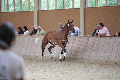 Freispringen 320