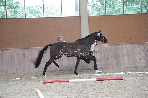 Siegerehrung 64