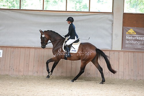 Stutenleistung0160