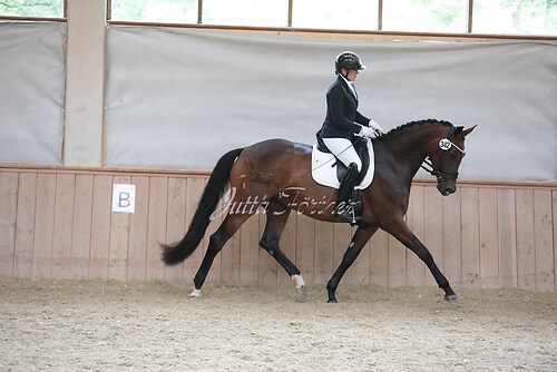 Stutenleistung0085