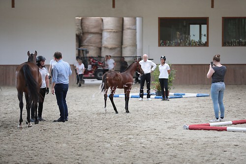 Freispringen 31