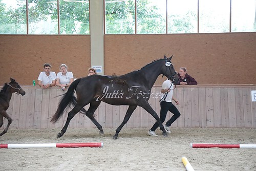 Siegerehrung 217
