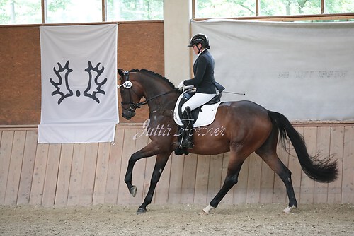 Stutenleistung0093