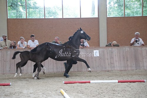 Siegerehrung 186