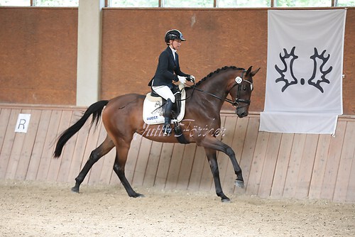 Stutenleistung0152