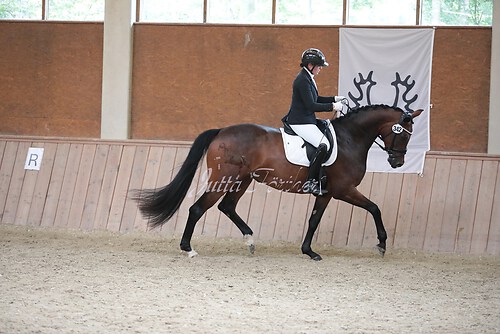 Stutenleistung0087