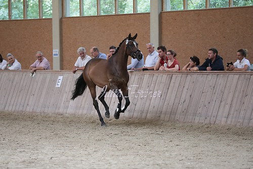 Freispringen 406