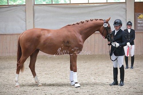 Siegerehrung Stutenleistung0030