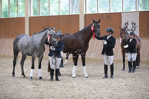 Siegerehrung Stutenleistung0166