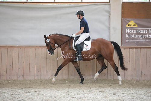 Stutenleistung0060