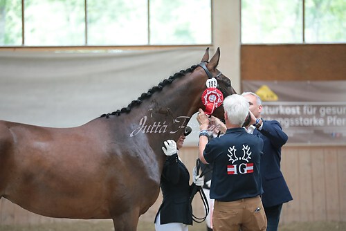 Siegerehrung Stutenleistung0062