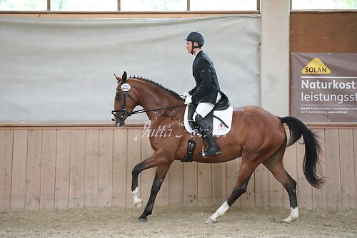 Stutenleistung0066
