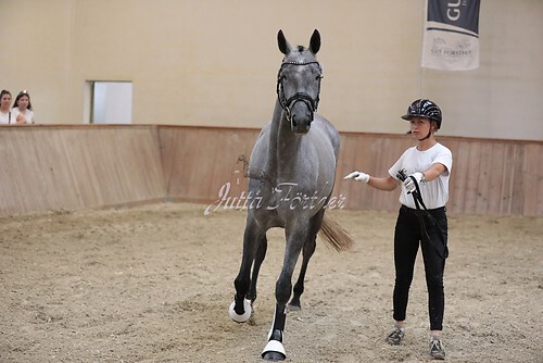 Pusteblume13