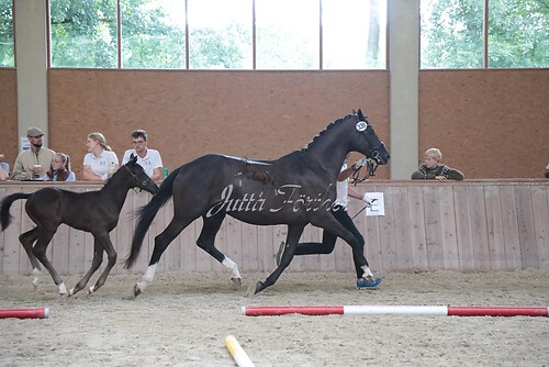 Siegerehrung 191