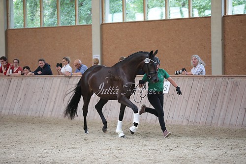 Freispringen 417