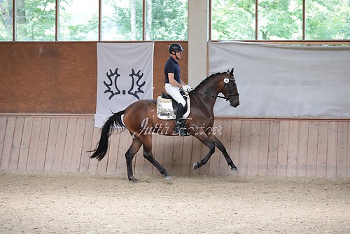 Stutenleistung0139