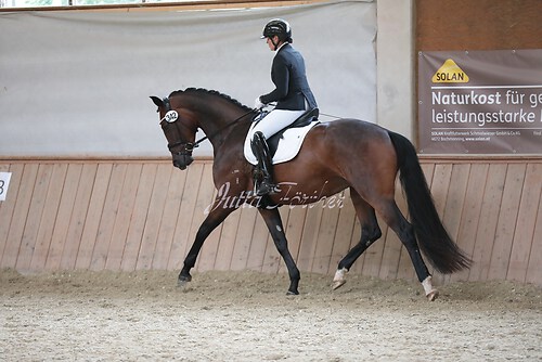 Stutenleistung0110