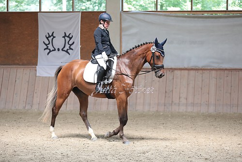 Stutenleistung0198