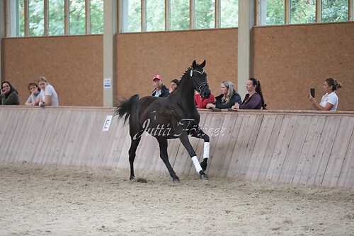 Freispringen 120