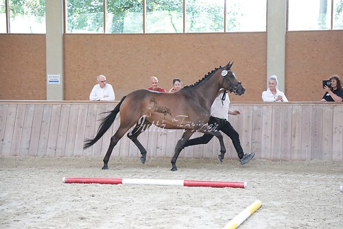 Siegerehrung 332