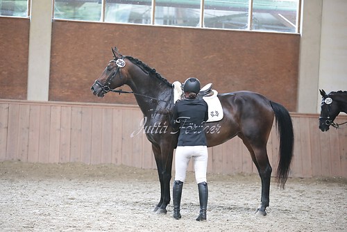 Stutenleistung0115