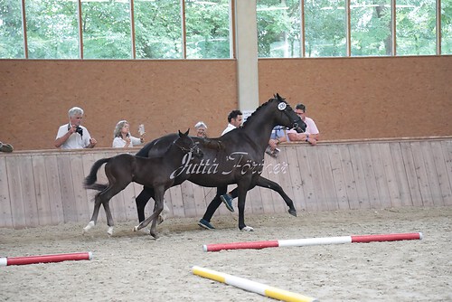 Siegerehrung 184