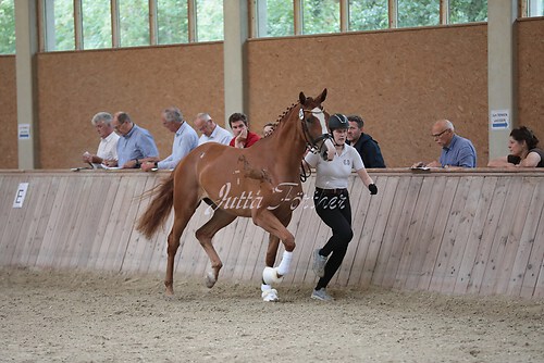 Freispringen 439