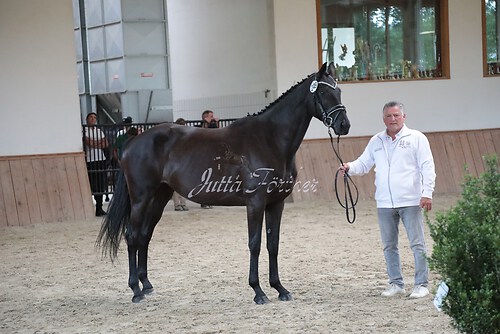 Siegerehrung 159