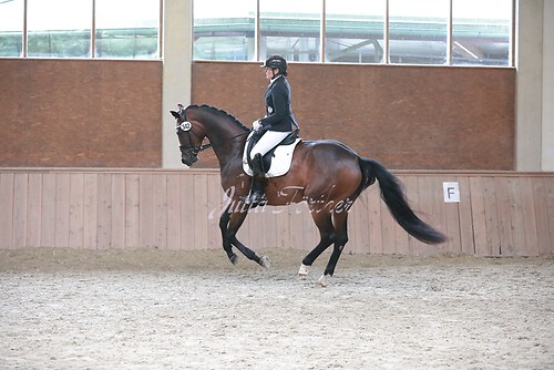 Stutenleistung0104