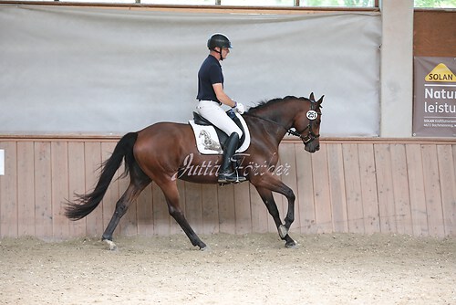 Stutenleistung0213