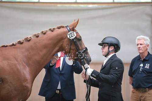 Siegerehrung Stutenleistung0026