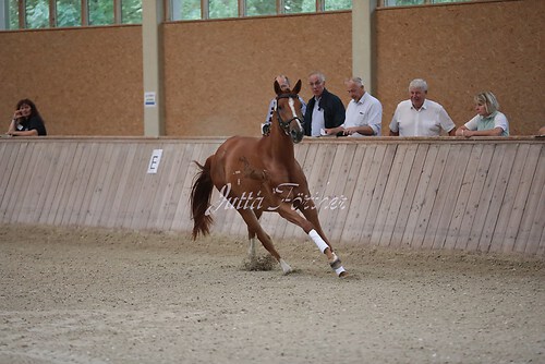 Freispringen 474