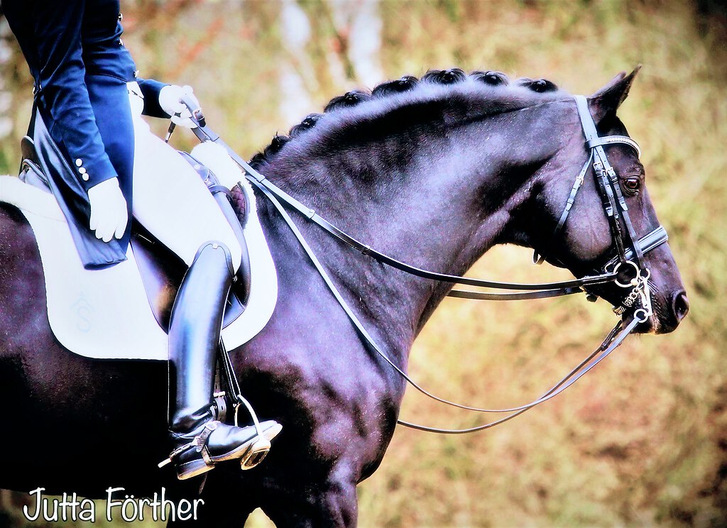 Model Aletta Acean onlayn guruhdagi porno videoda sikiladi Qora ayol va oq yigit porno