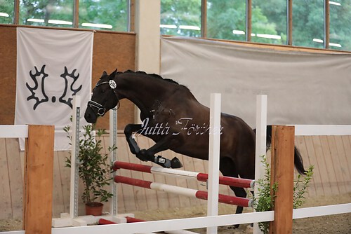Fl Nightingale09