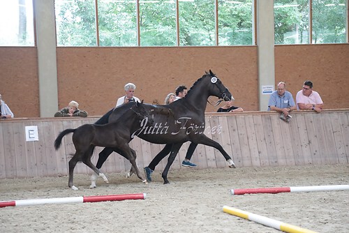 Siegerehrung 185