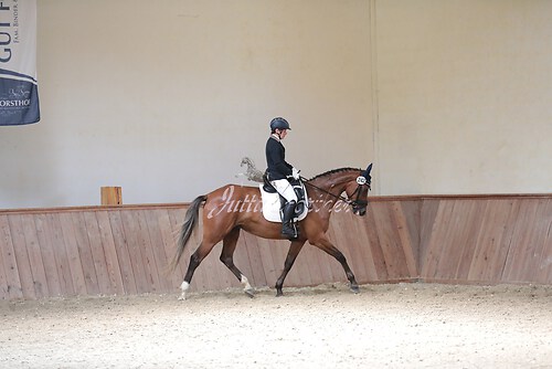 Stutenleistung0207