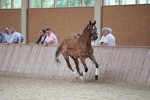 Freispringen 324