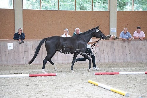 Siegerehrung 307