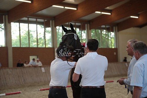 Siegerehrung 23