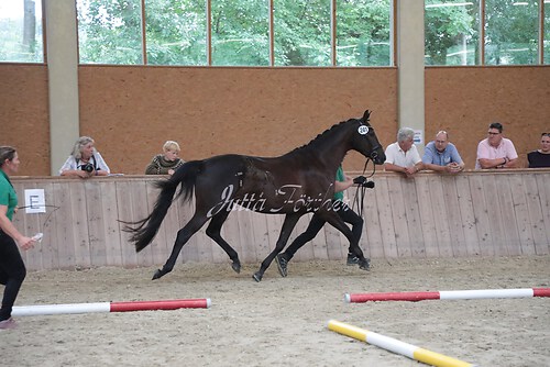 Siegerehrung 273