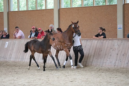 Freispringen 14
