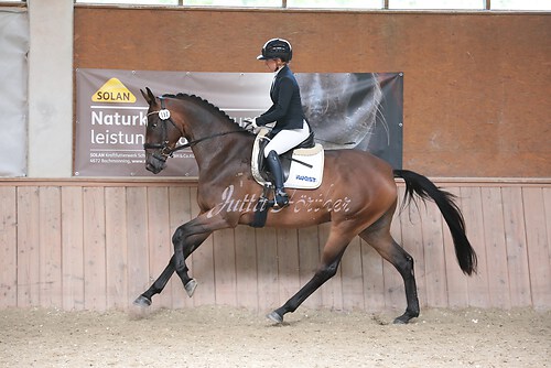 Stutenleistung0155