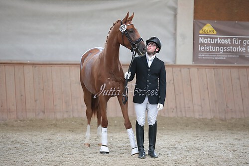 Siegerehrung Stutenleistung0002