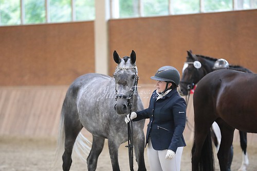 Siegerehrung Stutenleistung0143