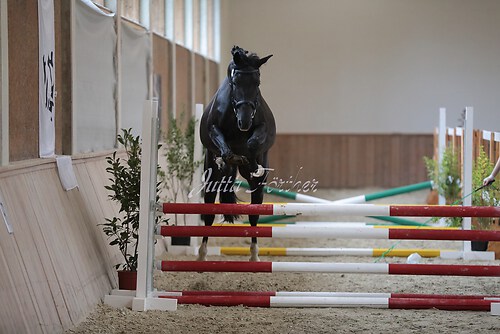 Freispringen 370