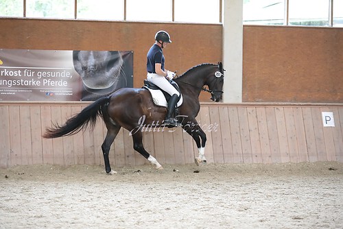 Stutenleistung0033