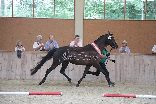 Siegerehrung 83